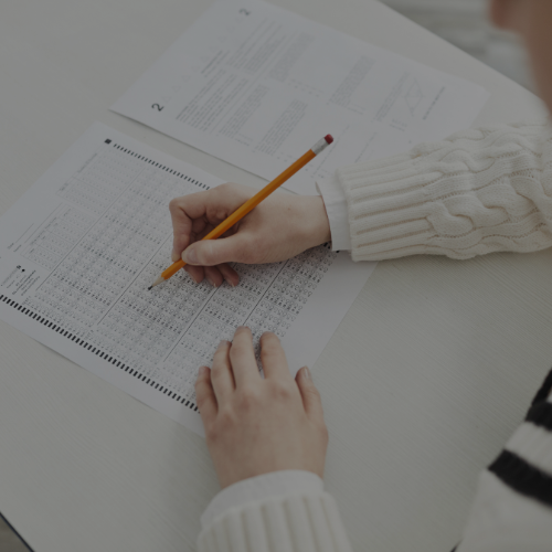 NET exam preparation